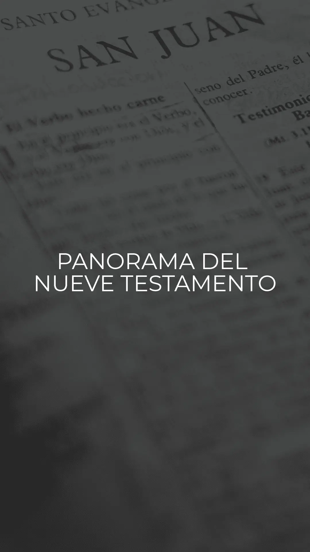 Imagen de Panorama del Nuevo Testamento